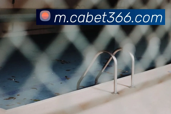 ca亚洲城APP 封面图